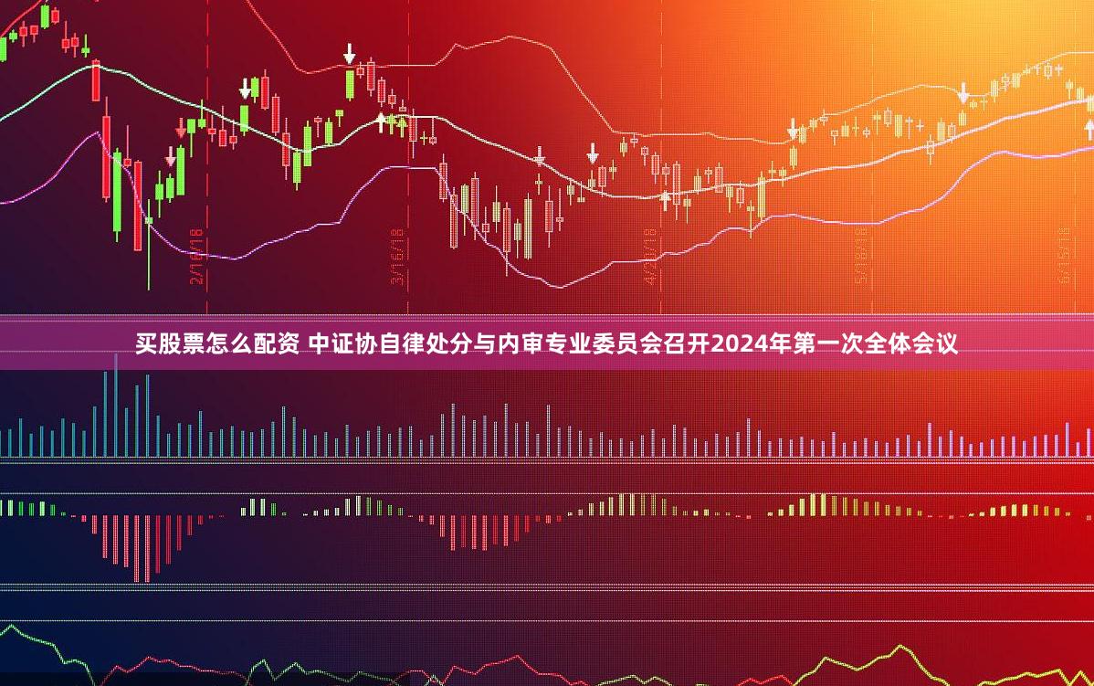 买股票怎么配资 中证协自律处分与内审专业委员会召开2024年第一次全体会议