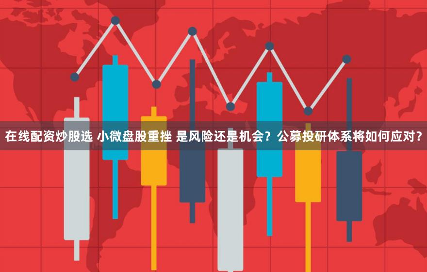 在线配资炒股选 小微盘股重挫 是风险还是机会？公募投研体系将如何应对？